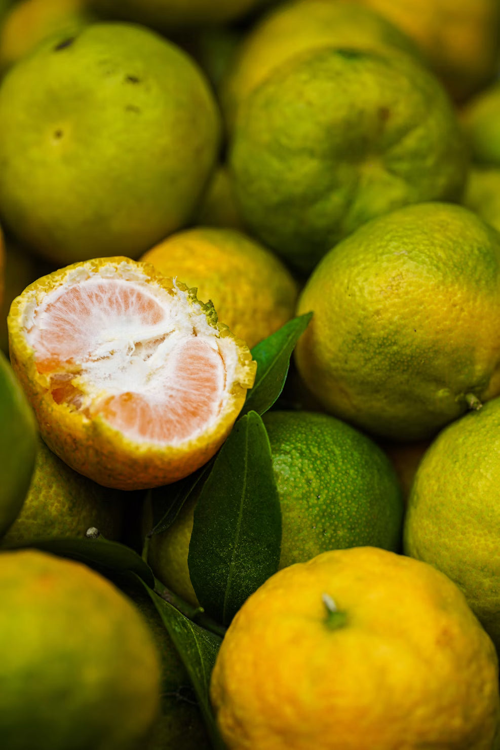 Fresh citrus feuits representing the Citrus Home Fragrance Collection by Glim & Glam.