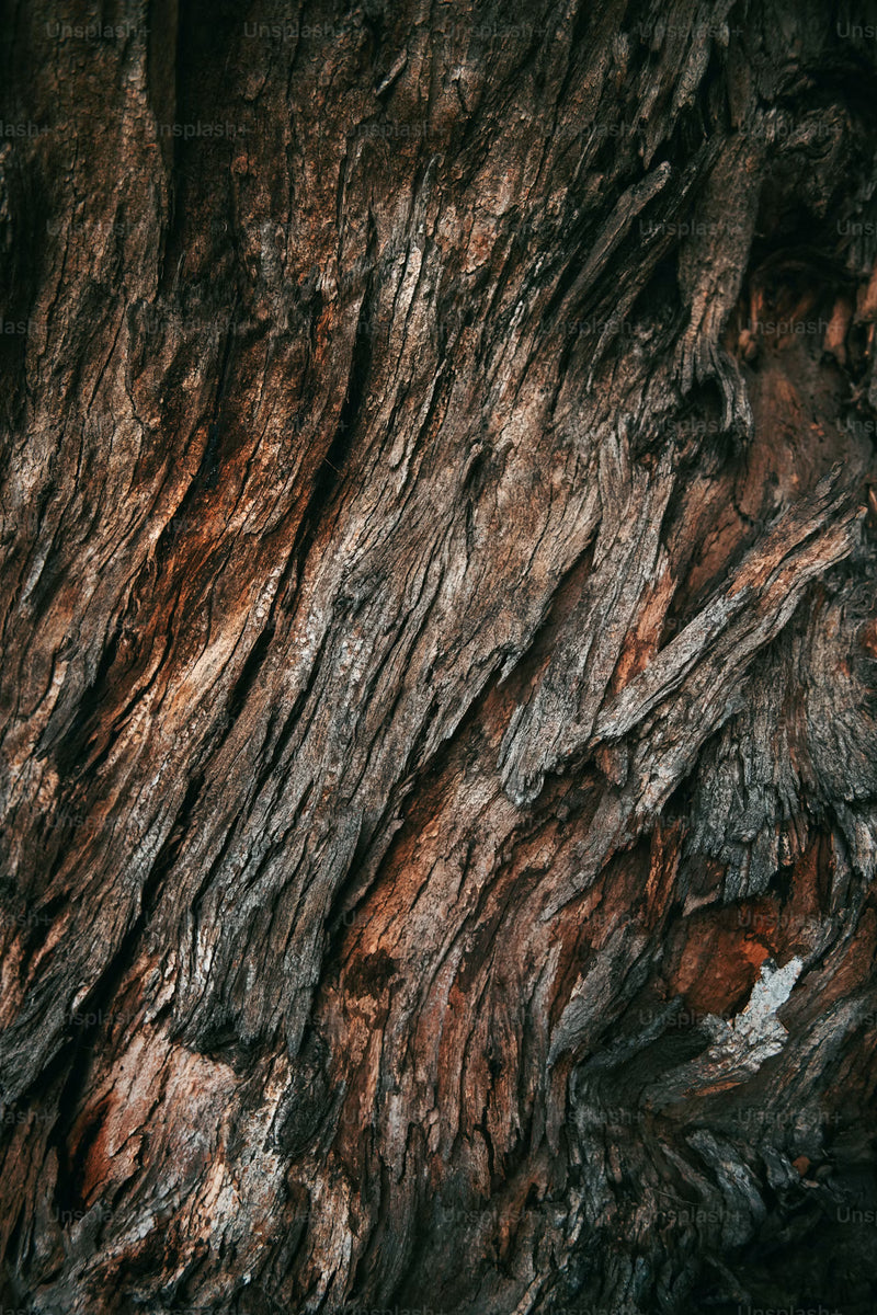 Woody