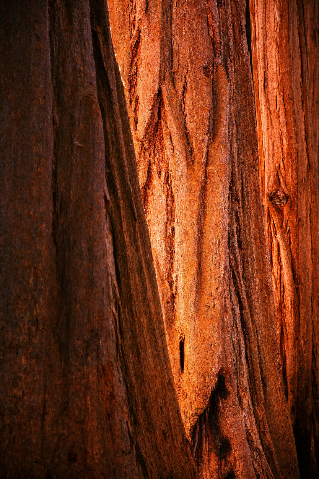 natural wood and warm earthy tones representing the Woody Home Fragrance Collection by Glim & Glam.